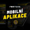 Fortuna Vegas aplikace 2026 – Stáhněte si aplikaci a hrajte odkudkoliv!