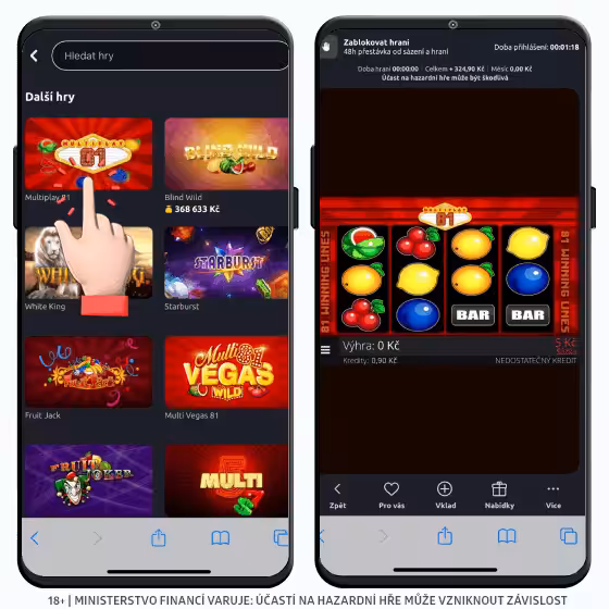 Multiplay 81 hra ZDE 