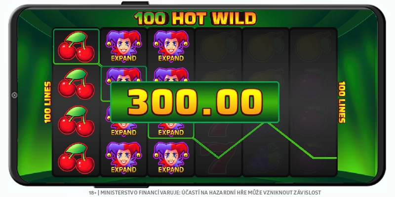 100 Hot Wild