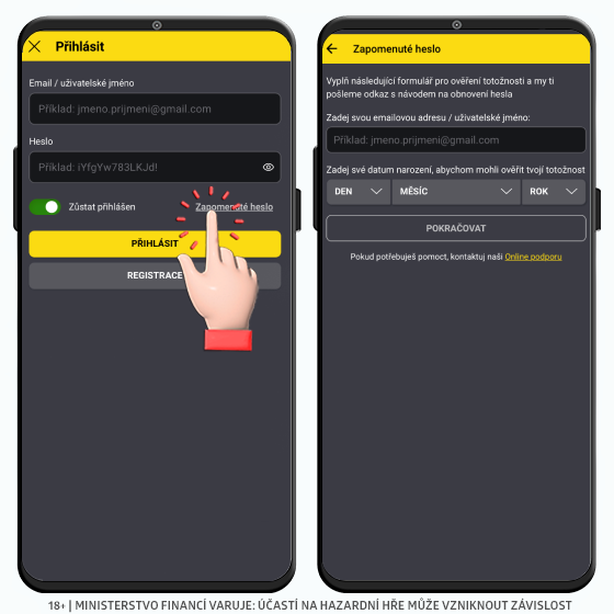 Fortuna zapomenuté heslo