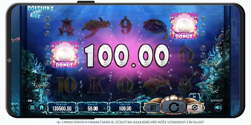 Dolphin's Wild Ride