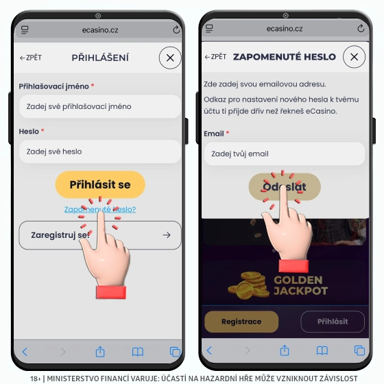 ecasino zapomenuté heslo ZDE e-casino zapomenuté heslo