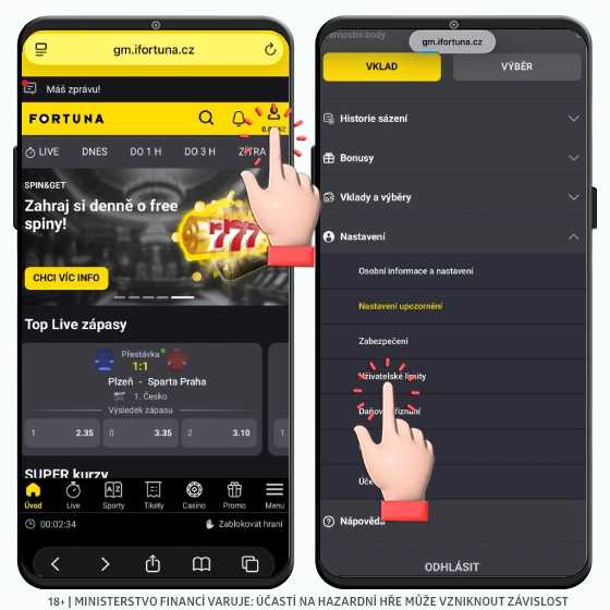 Fortuna - herní limity