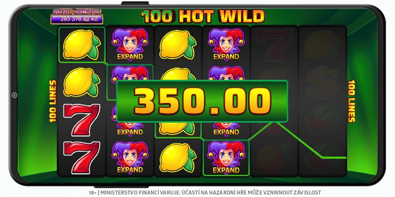 100 Hot Wild výherní automat