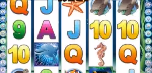 Fortuna casino přináší další hry – Crazy 7 a Dolphin Reef