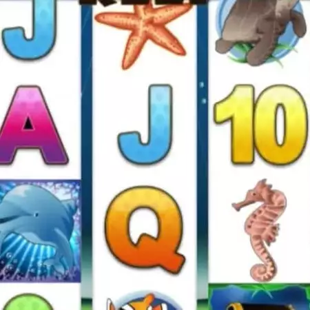 Fortuna casino přináší další hry – Crazy 7 a Dolphin Reef