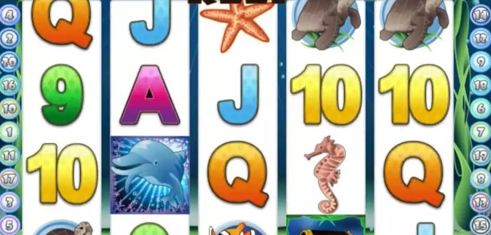 Fortuna casino přináší další hry – Crazy 7 a Dolphin Reef