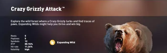 Synot Tip - online casino - Crazy Grizzly Attack